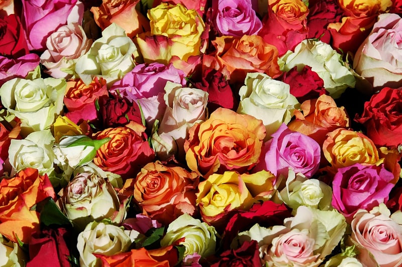 Floral Design
